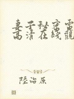 妻子秘密电视剧高清在线观看全集