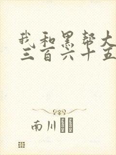 我和黑帮大佬的三百六十五天365