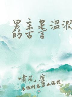男主是温润书生的古言