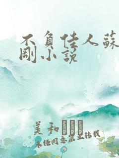 不负佳人苏柔赵刚小说