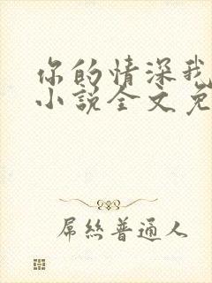 你的情深我不配小说全文免费阅读