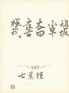 辉夜大小姐想让我告白早坂爱