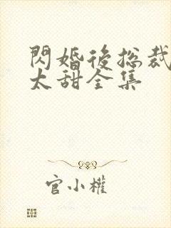 闪婚后总裁娇妻太甜全集