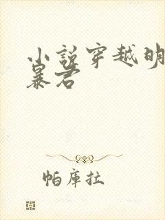 小说穿越明朝当暴君