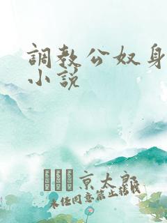 调教公奴身体的小说