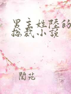 男主姓陆的所有总裁小说