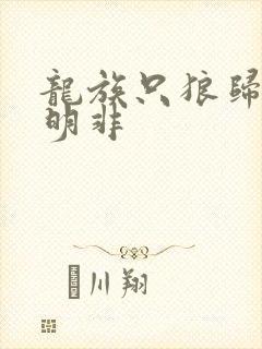 龙族只狼归来路明非