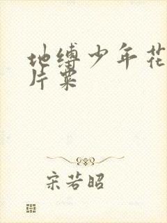 地缚少年花子君片粟