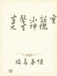 有声小说重生之天才神棍