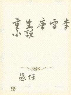 重生唐雪李毅的小说