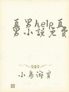 直男help直男小说免费阅读全文笔趣阁完整版