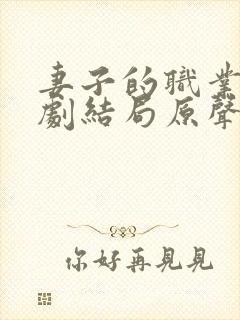 妻子的职业2韩剧结局原声在线观看全