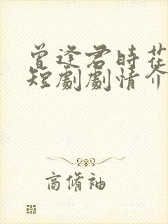 曾逢君时花照眼短剧剧情介绍