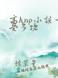 高hnp小说一受多攻
