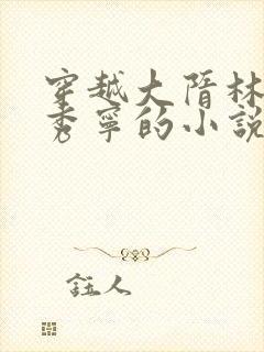 穿越大隋林凡李秀宁的小说