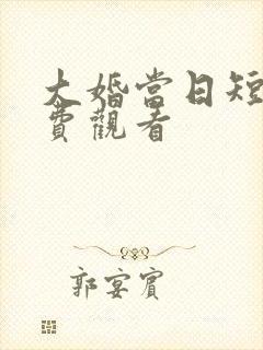 大婚当日短剧免费观看