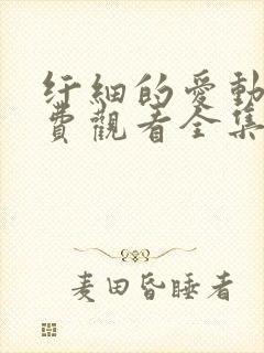 纤细的爱动漫免费观看全集