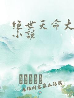 绝世天命大反派小说