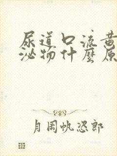 尿道口流黄色分泌物什么原因