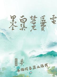 黑白禁区电视剧全集免费