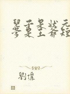 儿子是状元但你爹是王爷短剧