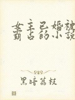 女主已婚被男主霸占的小说