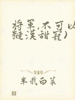 将军,不可以(糙汉甜宠)
