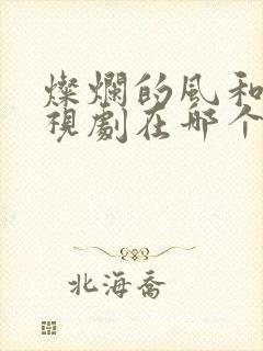 灿烂的风和海电视剧在哪个平台播放