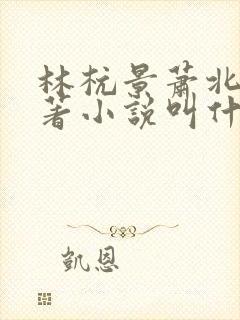 林杭景萧北辰原著小说叫什么