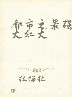 都市之最强狂兵大红大