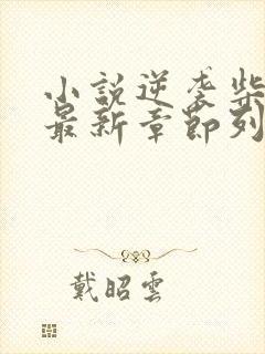 小说逆袭柴鸡蛋最新章节列表