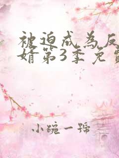 被迫成为反派赘婿第3季免费观看