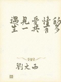 遇见爱情的利先生一共有多少集