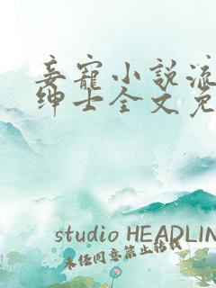 妾宠小说流浪的绅士全文免费阅读