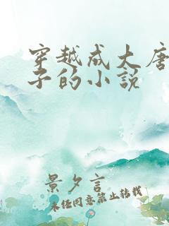 穿越成大唐九皇子的小说