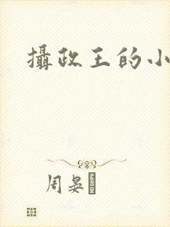 摄政王的小萌妃