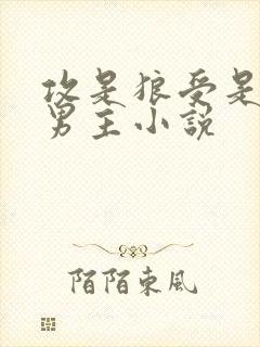 攻是狼受是人双男主小说