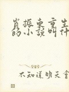 肖振东重生下乡的小说叫什么名字