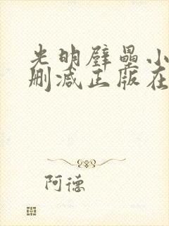 光明壁垒小说无删减正版在线阅读