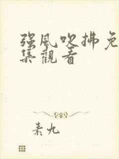 强风吹拂免费全集观看