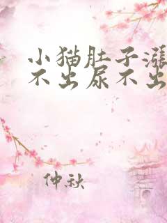 小猫肚子涨大拉不出尿不出来