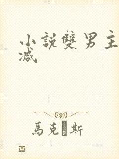 小说双男主未删减