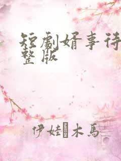 短剧婿事待发完整版