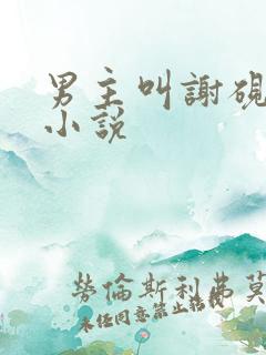 男主叫谢砚礼的小说