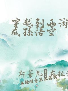 穿越到西游记变成孙悟空