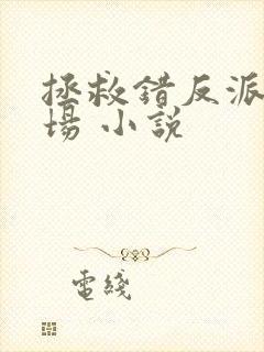 拯救错反派的下场 小说