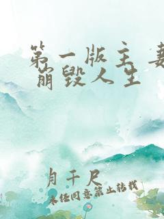 第一版主 妻殇 崩毁人生