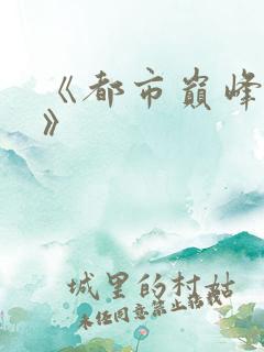 《都市巅峰高手》