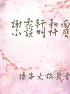 谢霖轩和南挽心小说叫什么名字