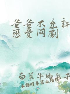 爸爸不允许我谈恋爱网剧